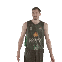 Encourage Liga Endesa Sticker by ACB
