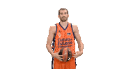 Liga Endesa Basketball Sticker by ACB