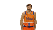 Vamos Liga Endesa Sticker by ACB