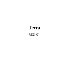 Terra Sticker by Plum Living