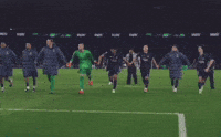 Paris Saint-Germain GIF