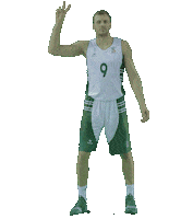 Ing All Star Sticker by Türkiye Basketbol Federasyonu