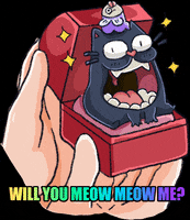 Dwarf-Factory cat cats jewelry ring GIF