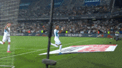 Dimitri Payet Celebration GIF by Olympique de Marseille