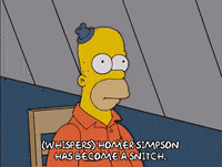 homer simpson GIF