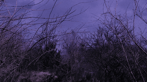 Van Helsing Monday GIF