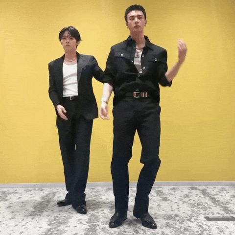 Skz Lee Know GIF
