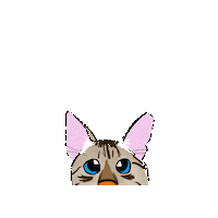 leliomesmo music cat phone gato Sticker