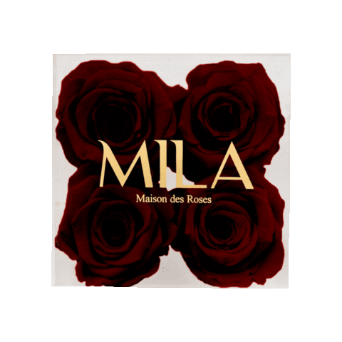 MILAROSESOFF giphythatsgonnabeanofrommedawg Sticker