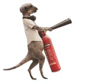 Fire Extinguisher Sticker by Compare the Market