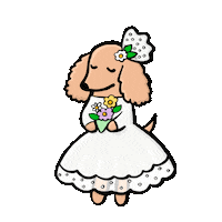 Happy Party Sticker by Stefanie Shank