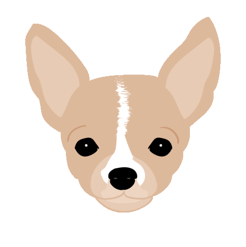 eddiethechihuahua dog face dogs puppy Sticker