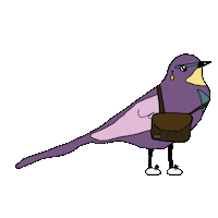 janpierewiet birds sneakers paradise cool stuff Sticker