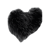Cat Heart Sticker
