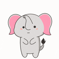 untamedelephants cute animals point wild GIF
