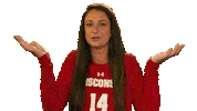 Wisconsin Volleyball What Sticker by Wisconsin Badgers