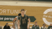 Excitement Getup GIF by William & Mary Tribe Athletics