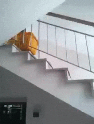 success GIF