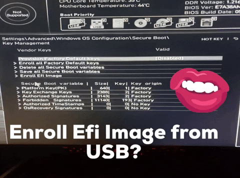 BalzyPlayz giphyattribution enroll efi image from usb GIF