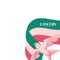 jmfonseca summer verao lancers andorinha Sticker