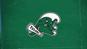 Tulane GIF by GreenWave