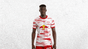 Football Soccer GIF by RB Leipzig