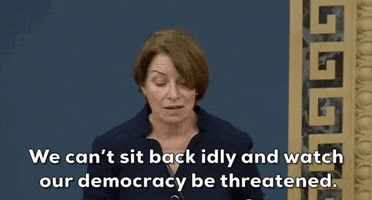 Voting Rights Democrat GIF by GIPHY News
