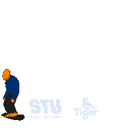 Skate Tiger Sticker by TigerBeerBR