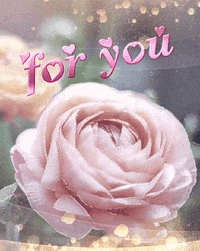 my love GIF