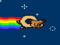 wedomedias wedomedias GIF