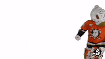 Stand Up Yes GIF by Anaheim Ducks