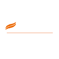 skin care ayurveda Sticker by Himalaya Herbals  Italia