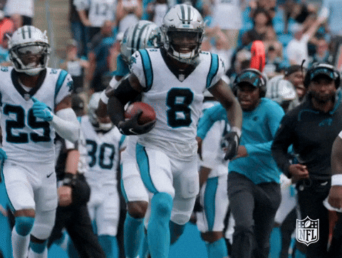 Happy Carolina Panthers GIF by NFL