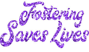 Lives Fostering Sticker by Foster Bubbies