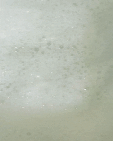 charleswarrengifs giphyupload GIF