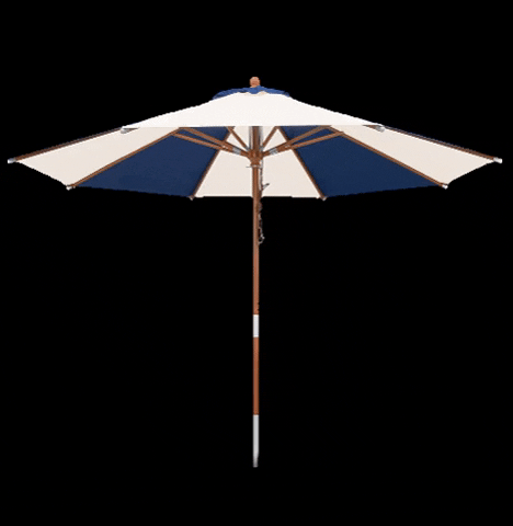 anndora summer holiday beach garden GIF