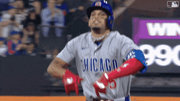 Celebrate Major League Baseball GIF by MLB
