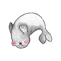 camsleal waiting seal refresh foca Sticker