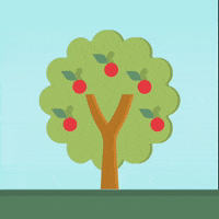 ciderzale apple tree shake harvest GIF