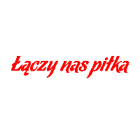 Poland Lnp Sticker by Laczynaspilka
