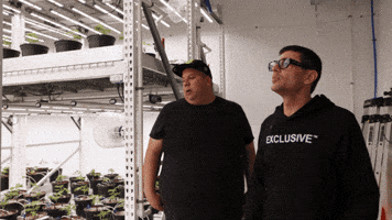 Plant Talking GIF by Exclusive Brands