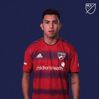 Lets Go Yes GIF by Major League Soccer