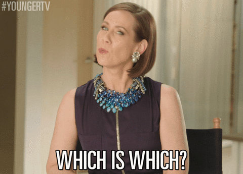 which is which? tv land GIF by YoungerTV