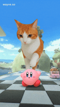 Cats Feels GIF by Darwin