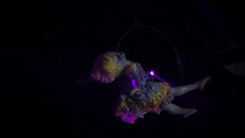 Cotton Candy Fall GIF by The Masked Dancer