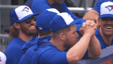 Blue Jays Smile GIF by Toronto Blue Jays
