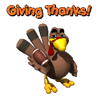 Nfl Thanks Sticker