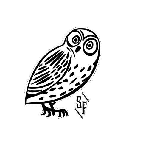 StrangeFellowsBrewing bird blink owl strange Sticker