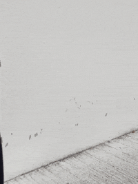 photography GIF by Abdela igmirien
