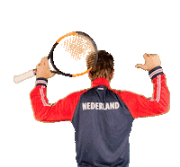 Teamnl Daviscup Sticker by KNLTB